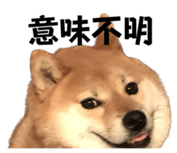 603753133