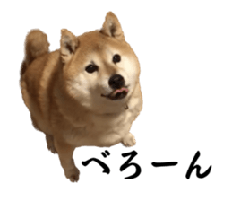 603753162
