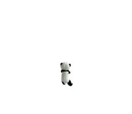 603755812