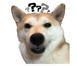 603759090
