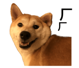 603759092