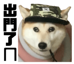 603759093