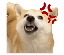 603759099