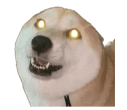 603759101
