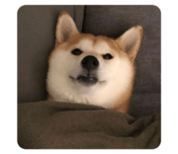 603759111