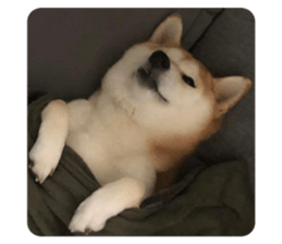 603759112