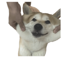 603759124