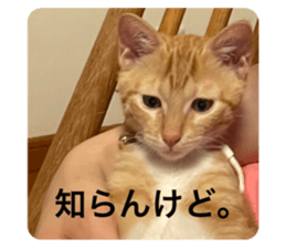 603785502