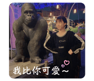 603785564