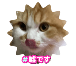 603822196