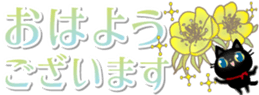 603860862
