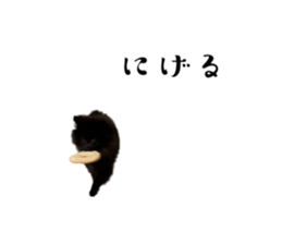 603961938