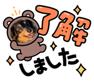 604003597