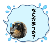 604003598
