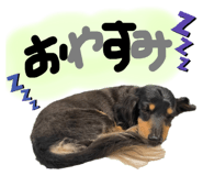 604003607