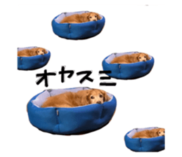 604011845