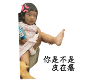 604052066