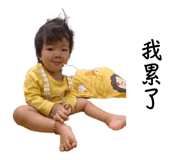 604052069