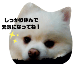 604053370