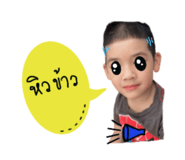 604062559
