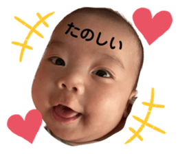 604084446