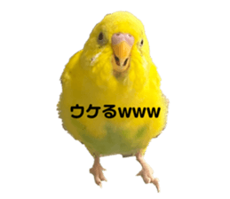 604094854