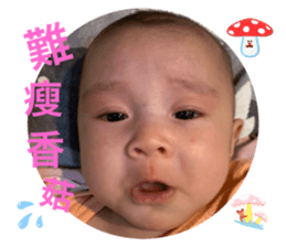 604097277