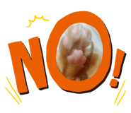 604166524
