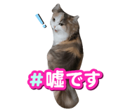 604170026