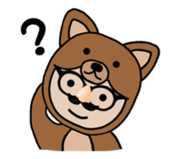 6042348