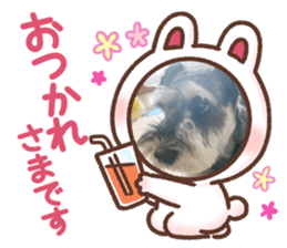 604254528