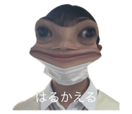 604256555