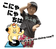 604339441