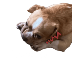 604368008