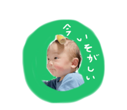604441443
