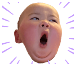 604442056