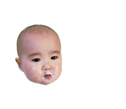 604442066