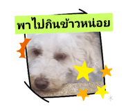 604456189