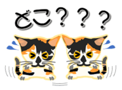 604469836