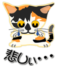 604469844