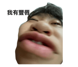 604472393