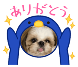 604486957