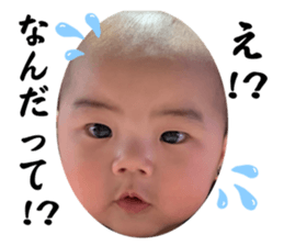 604495210