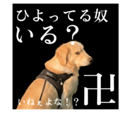 604505973