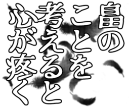 604634427
