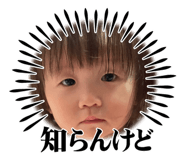 604680074