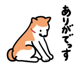 6047135