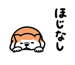 6047143
