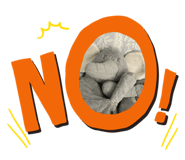 604749295