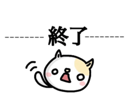 6047558